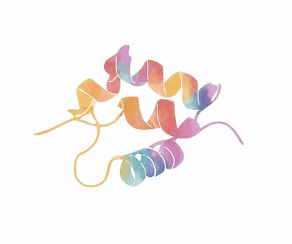 Amai Proteins wins multiple regulatory approvals for its calorie-free sweet protein: sweelin®