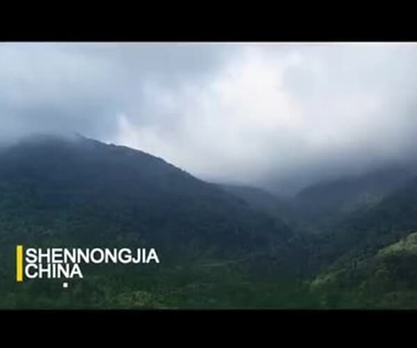 Expert explores China for unknown reptiles