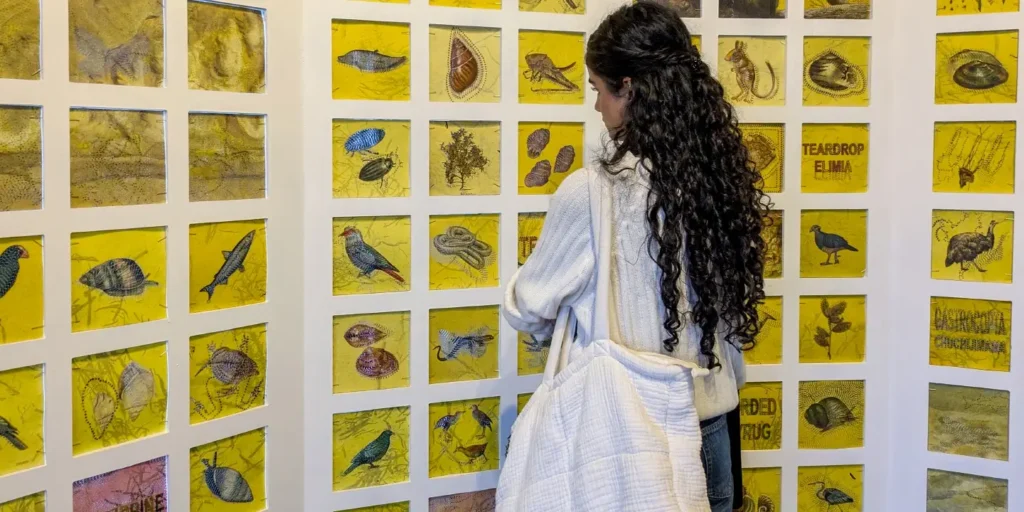Extinction Archive: Kulpreet Singh presents haunting memorial to vanishing species at India Art Fair