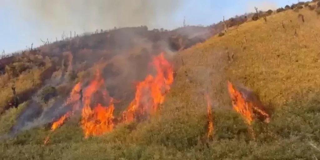 Wildfire in Nagaland’s southern Dzükou valley largely contained: Officials