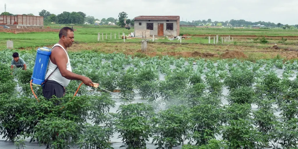 Hormuz disruption risks ripple across global agri markets, says Goldman Sachs