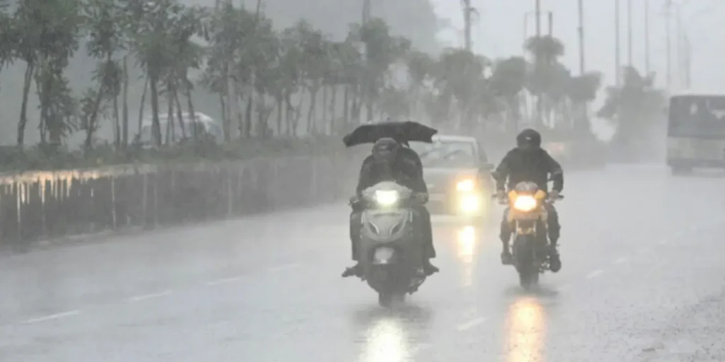 Heavy rains lash Thane and Palghar; landslide at Malshej Ghat, tree falls reported