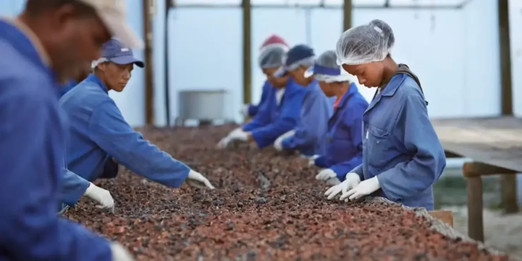 China is funding African farmers but not food processing and storage: why it’s a problem